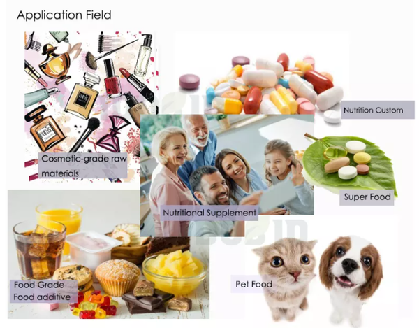 Rhubarb Powder Applications Rhubarb Powder Applications