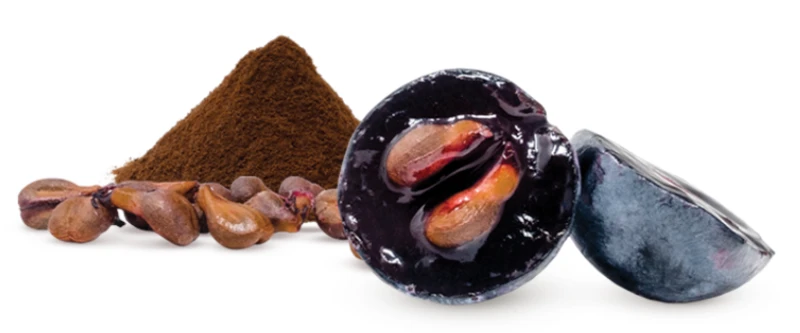 Buy grape seed extract powder Buy grape seed extract powder